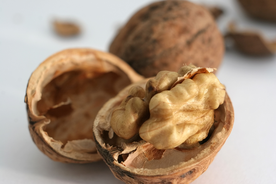 Скорлупа грецкого ореха лечебные свойства
